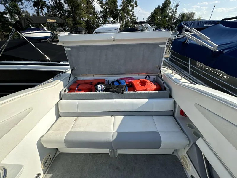 Slide: The Image of Cobalt 272 1999 - 17