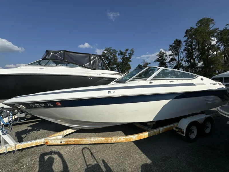 Slide: The Image of Cobalt 272 1999 - 3