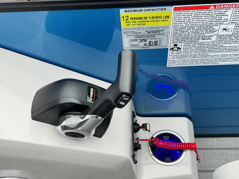 Slide: The Image of Sylvan L3 DLZ Tritoon 2025 - 10