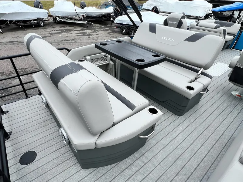 Slide: The Image of Sylvan L3 DLZ Tritoon 2025 - 7