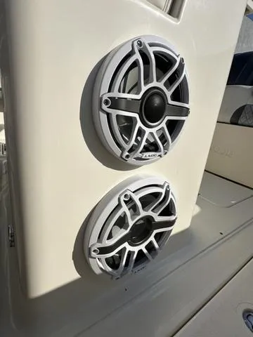 Slide: The Image of Blackwood 290 2024 - 11