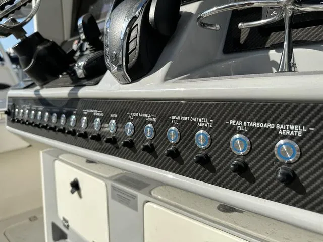 Slide: The Image of Blackwood 290 2024 - 13