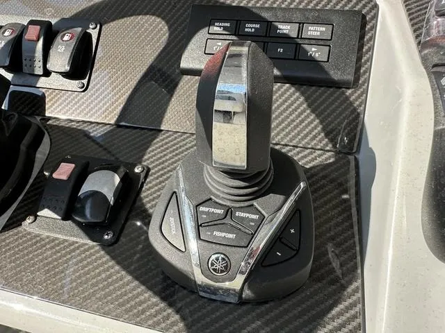 Slide: The Image of Blackwood 290 2024 - 14