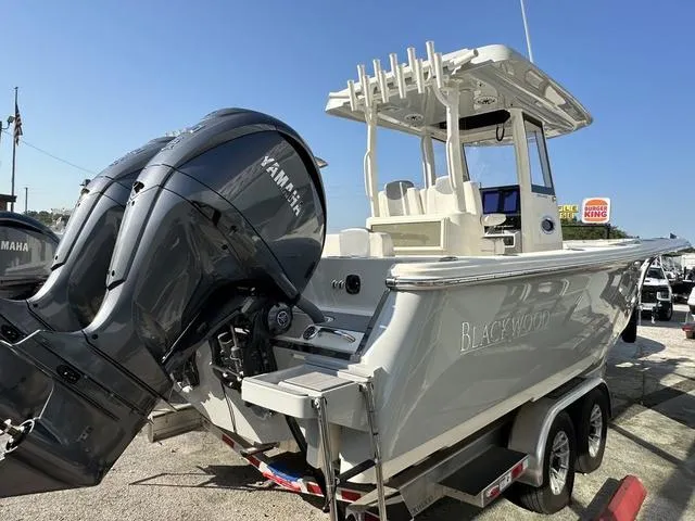 Slide: The Image of Blackwood 290 2024 - 23