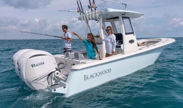 Slide: The Image of Blackwood 290 2024 - 26