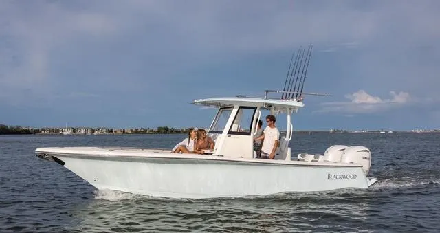 Slide: The Image of Blackwood 290 2024 - 27