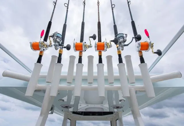 Slide: The Image of Blackwood 290 2024 - 28