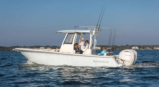 Slide: The Image of Blackwood 290 2024 - 29