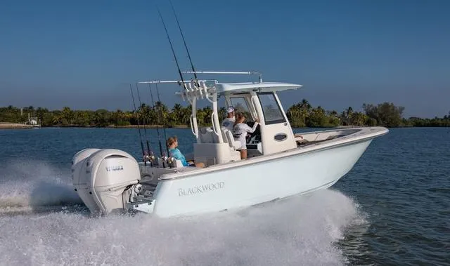 Slide: The Image of Blackwood 290 2024 - 30