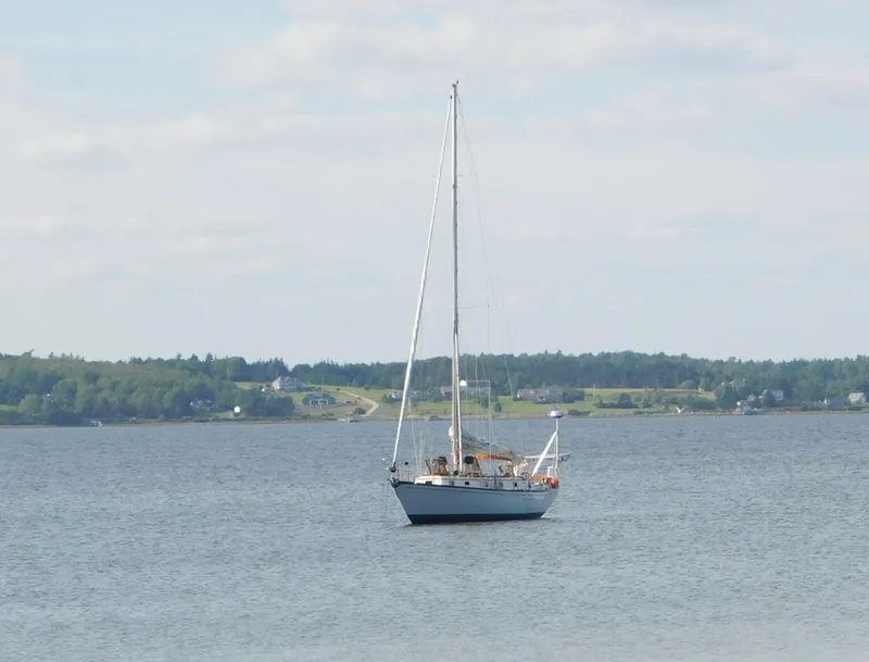 Slide: The Image of Mason 43 Cutter 1984 - 54