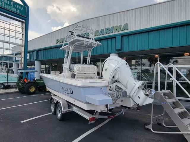 Slide: The Image of Robalo 246 Cayman SD 2025 - 33