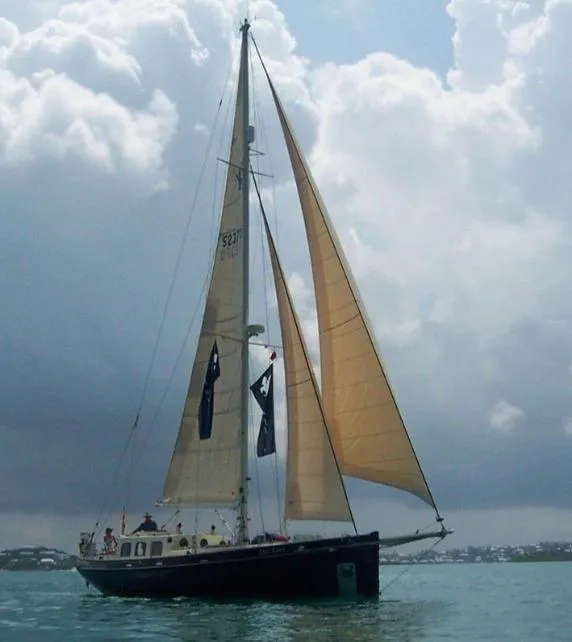 Slide: The Image of Puffin 42 2002 - 111