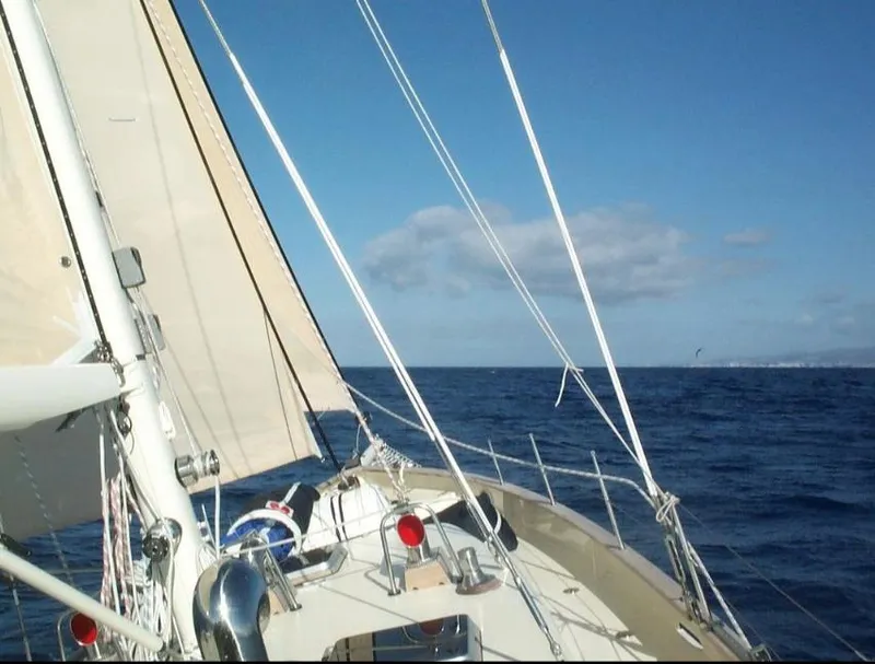 Slide: The Image of Puffin 42 2002 - 114