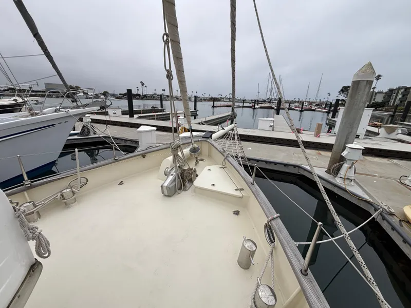 Slide: The Image of Puffin 42 2002 - 75