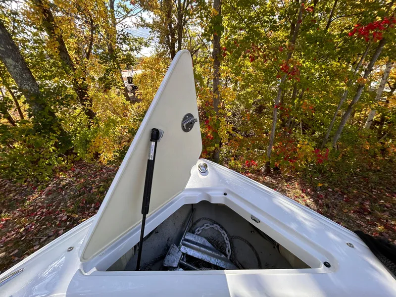 Slide: The Image of Open storage compartment on 2012 Cobalt 232 Bowrider, surrounded by autumn foliage. - 42