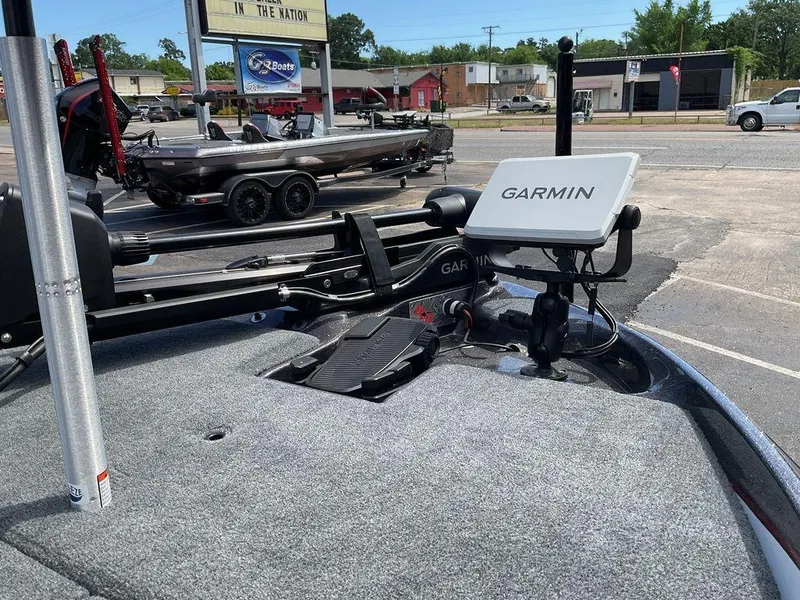 Slide: The Image of Bass Cat Pantera Classic 2025 - 15