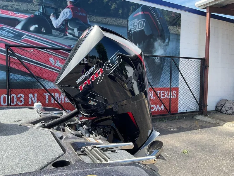 Slide: The Image of Bass Cat Pantera Classic 2025 - 8