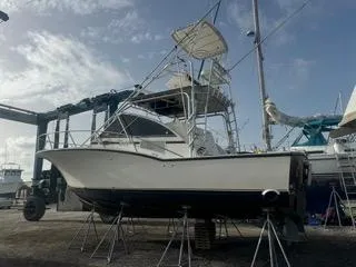 Slide: The Image of 2001 Carolina Classic 35 boat on stands in a marina. - 13