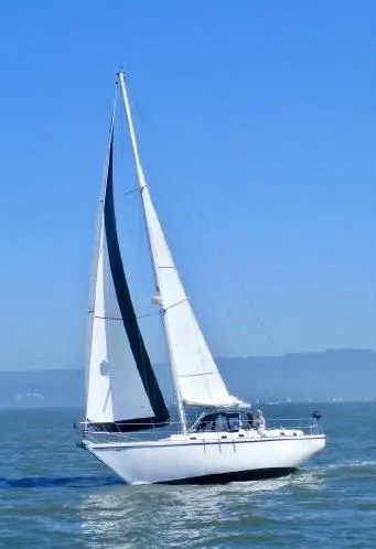 Slide: The Image of Bruce Roberts Offshore 2000 - 1