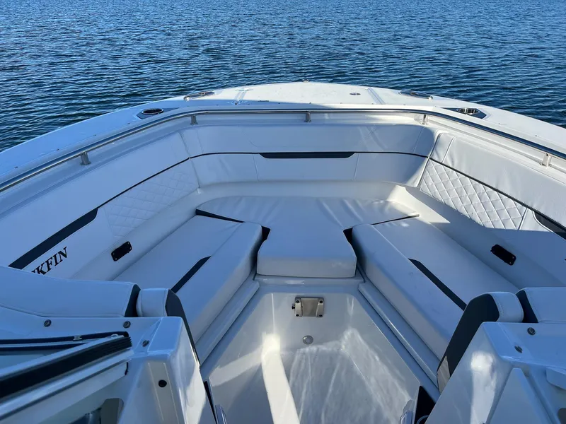 Slide: The Image of Blackfin 272 DC 2023 - 5