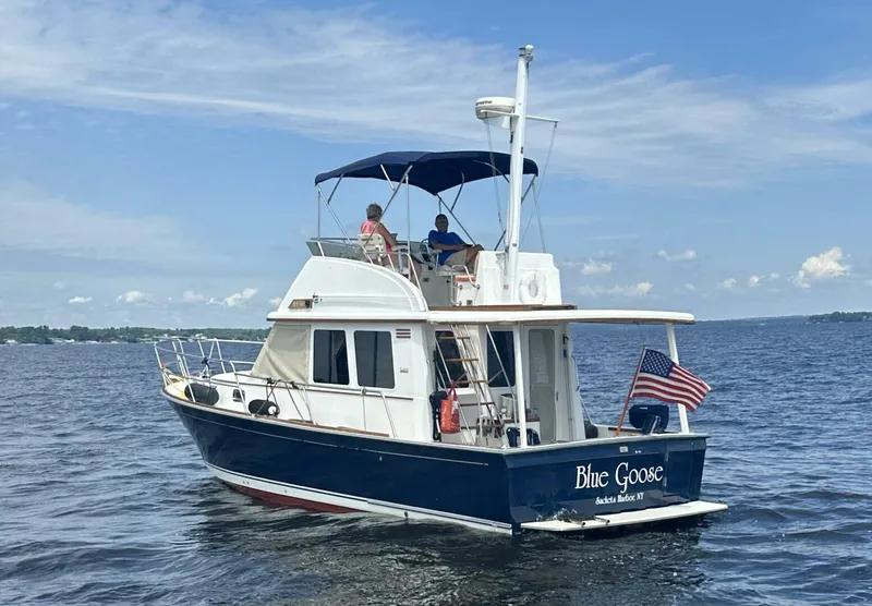 The Image of 2003 Sabre 36 Fly Bridge Sedan boat on water, featuring "Blue Goose" name and American flag. - 0
