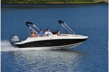 Slide: The Image of Stingray 192 SC 2024 - 12