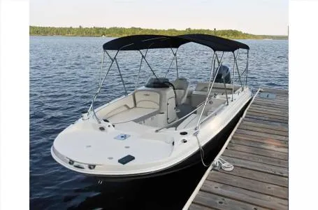 Slide: The Image of Stingray 192 SC 2024 - 4