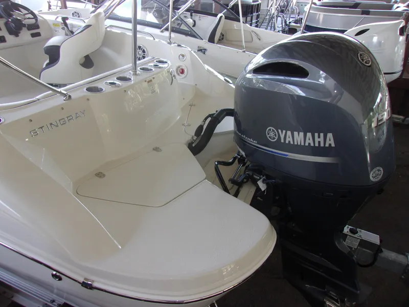 Slide: The Image of Stingray 192 SC 2024 - 5