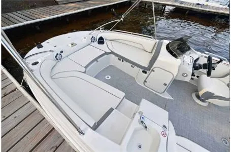 Slide: The Image of Stingray 192 SC 2024 - 9