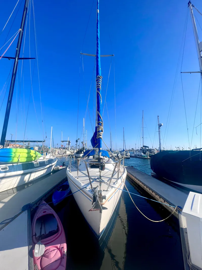 Slide: The Image of 1983 Catalina 36 sailboat docked in a marina under a clear blue sky. - 6