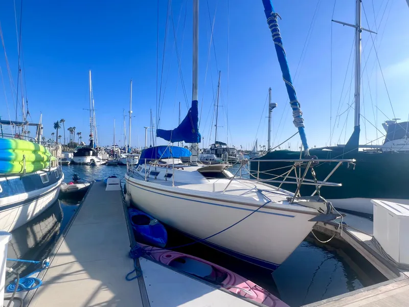 Slide: The Image of 1983 Catalina 36 sailboat docked at marina under clear blue sky. - 8