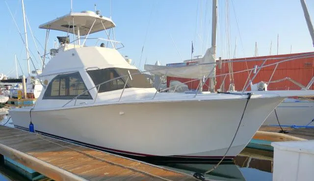 The Image of 1988 Jersey 36 Convertible Sportfisher docked at marina, clear sky background. - 1
