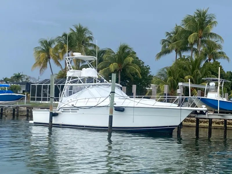 Slide: The Image of 1999 Tiara Yachts 43 Open docked near palm trees on a calm day. - 2