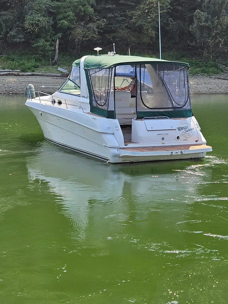 Slide: The Image of 2000 Sea Ray 310 Sundancer boat on green water, rear view. - 2