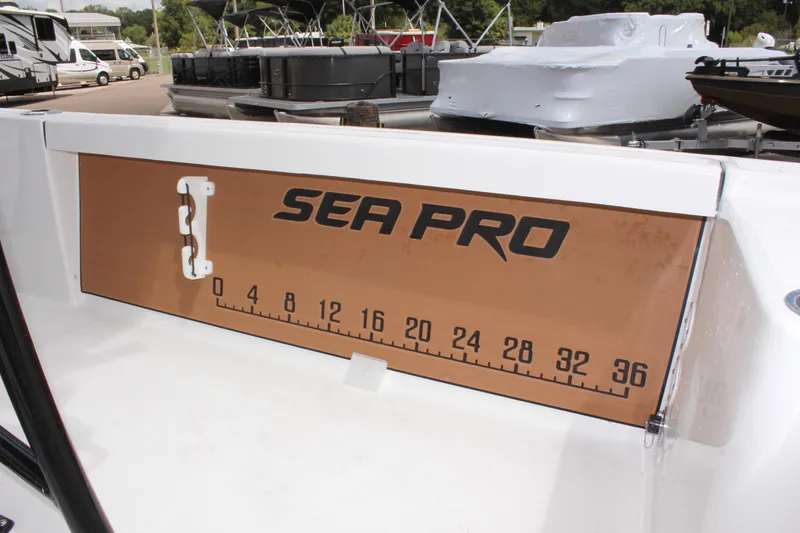 Slide: The Image of Sea Pro 250 Bay 2025 - 21