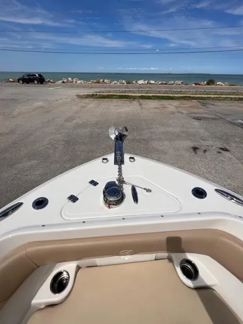 Slide: The Image of Sailfish 241CC 2021 - 10