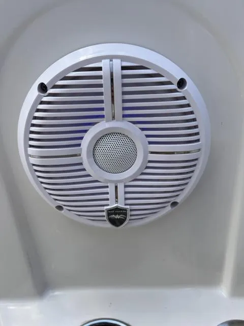 Slide: The Image of Sailfish 241CC 2021 - 24