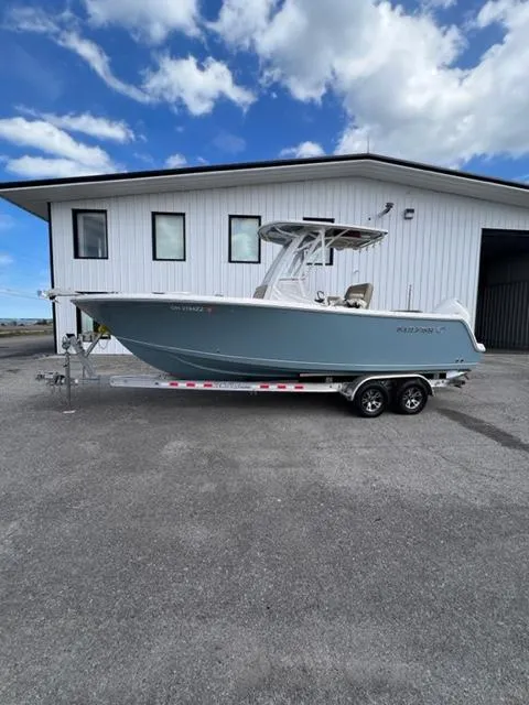 Slide: The Image of Sailfish 241CC 2021 - 5