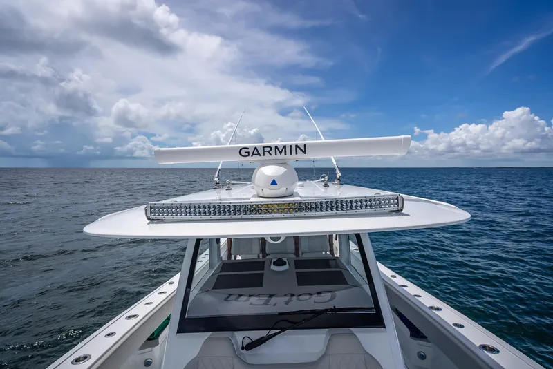 Slide: The Image of Freeman 43 2023 - 58