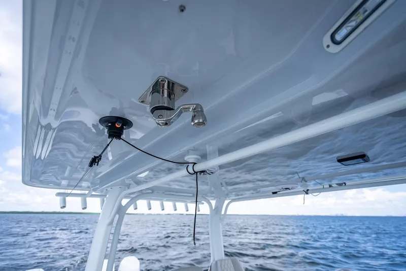 Slide: The Image of Freeman 43 2023 - 80