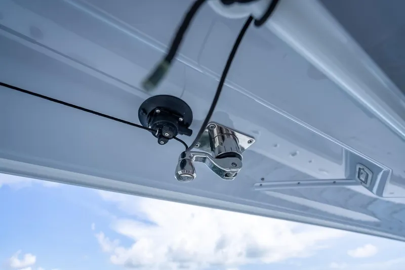 Slide: The Image of Freeman 43 2023 - 81