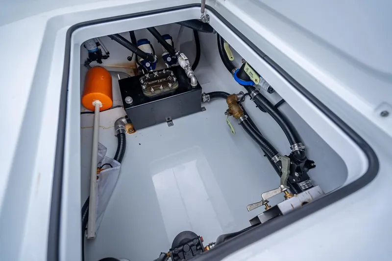 Slide: The Image of Freeman 43 2023 - 82