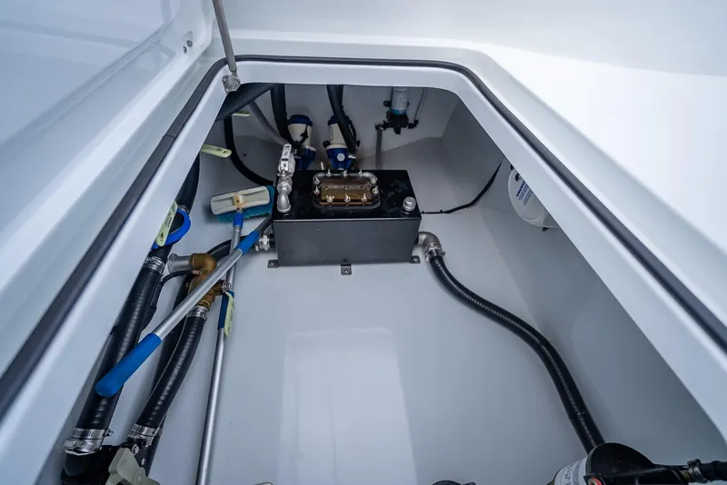 Slide: The Image of Freeman 43 2023 - 83