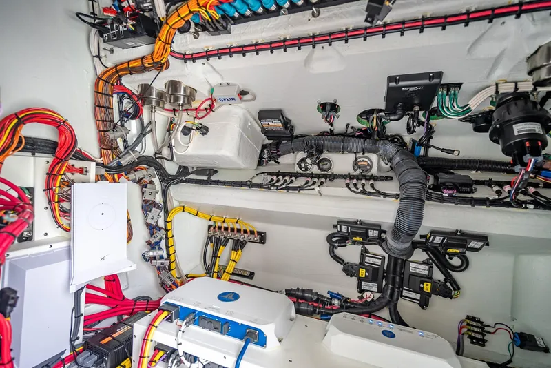 Slide: The Image of Freeman 43 2023 - 86