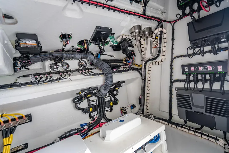 Slide: The Image of Freeman 43 2023 - 87