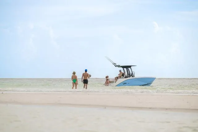 Slide: The Image of Yamaha 222 FSH Sport E 2025 - 24