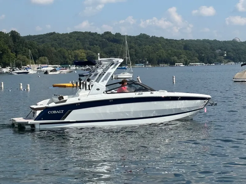 Slide: The Image of Cobalt R6 Surf 2025 - 466