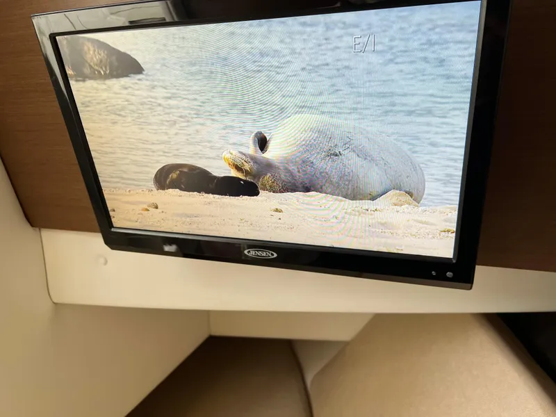 Slide: The Image of TV screen displaying seals on a beach inside a 2016 Sea Ray 350 SLX boat. - 10