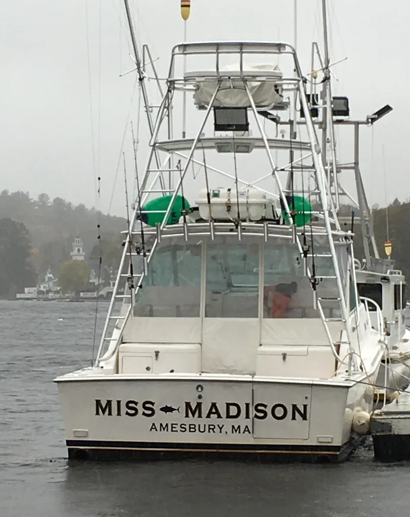 Slide: The Image of Fishing boat "Miss Madison" docked in rainy weather, Cabo Express 2003 model. - 5