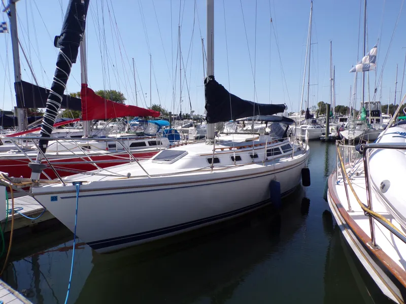 The Image of 1991 Catalina 34 sailboat docked in a marina, surrounded by other boats. - 0
